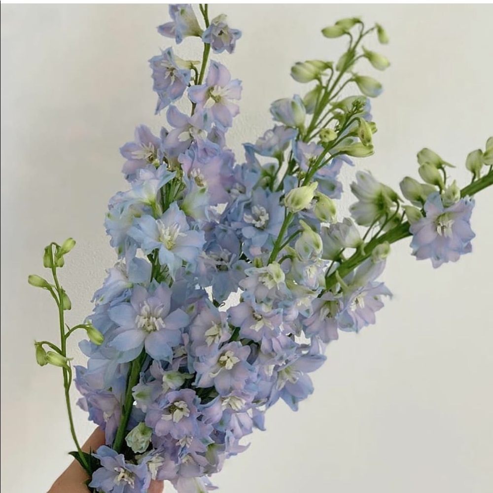 Meet your Posher, Kendall